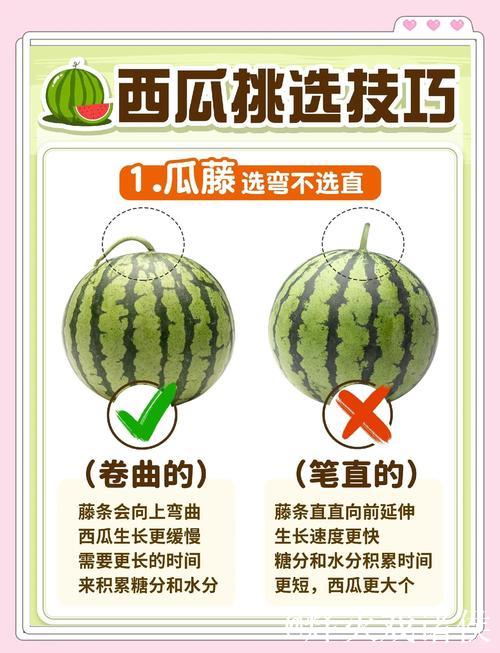 免费吃瓜攻略:我爱吃瓜官网教你如何轻松获取瓜果! 免费吃瓜攻略:我爱吃瓜官网教你如何轻松获取瓜果!