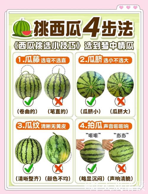 免费吃瓜攻略:我爱吃瓜官网教你如何轻松获取瓜果! 免费吃瓜攻略:我爱吃瓜官网教你如何轻松获取瓜果!